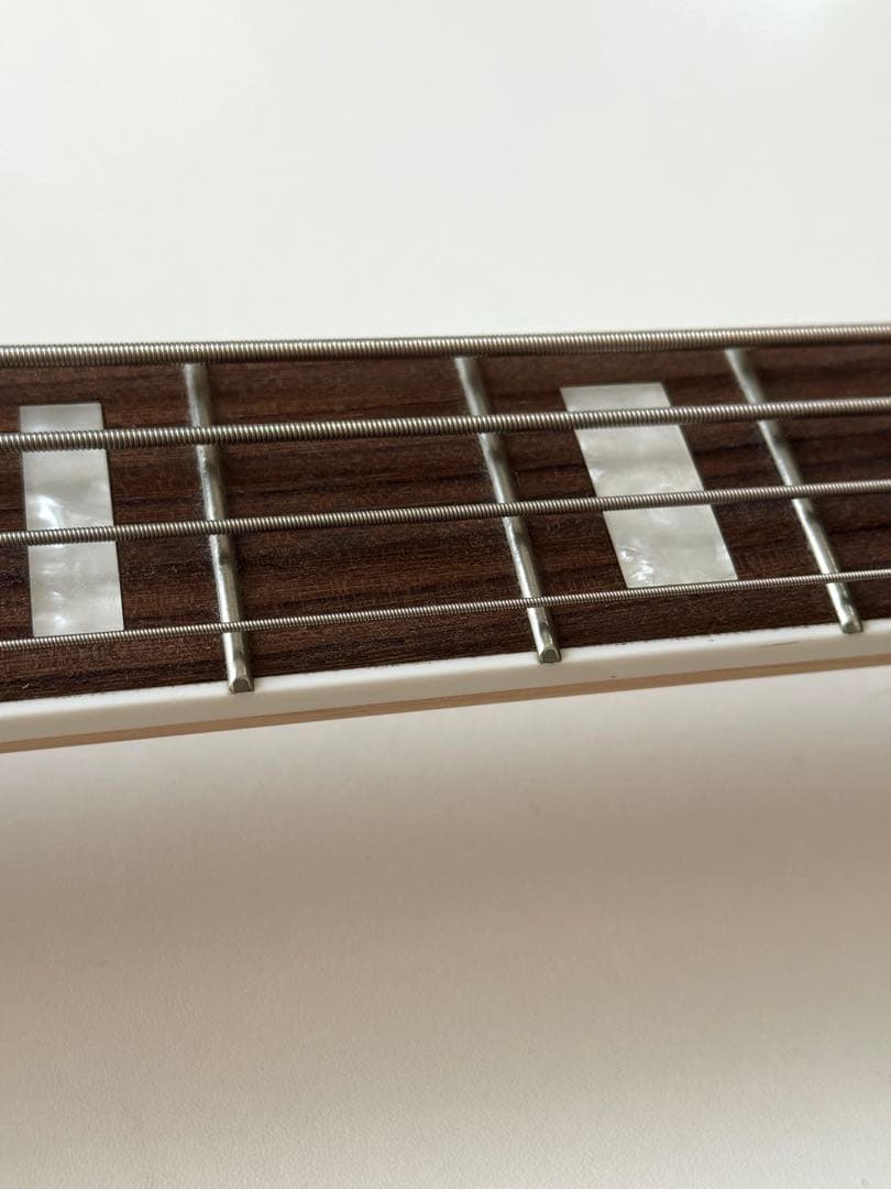 GrassRoots G-AMAZE-DX/LS エレキベース グラスルーツ