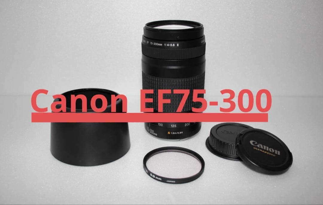 デジタル一眼レフカメラ　望遠レンズCanon EF75-300㎜