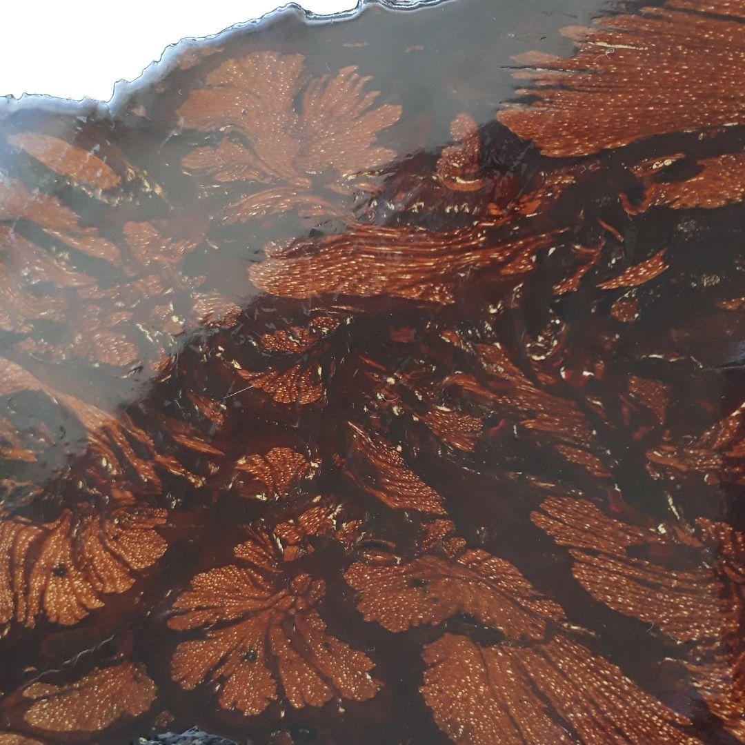 小品盆栽　敷板