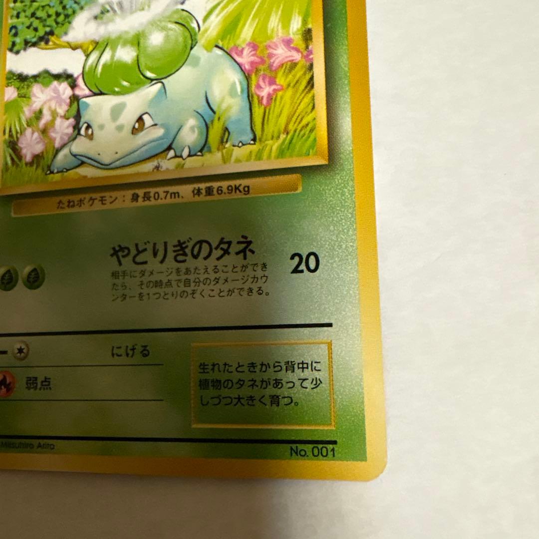 フシギダネ ● 第1弾拡張パック ポケモンカード マークなし