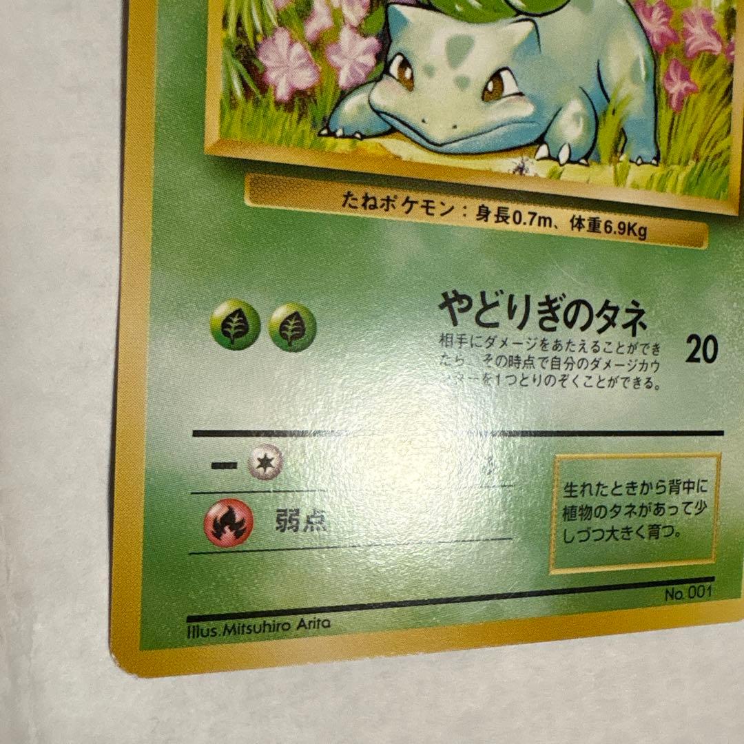 フシギダネ ● 第1弾拡張パック ポケモンカード マークなし
