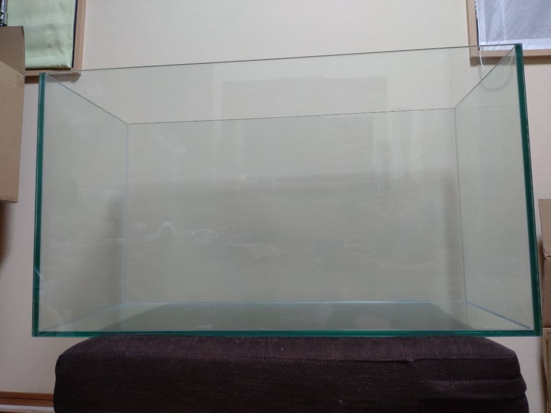 ドリー　gexグラステリア