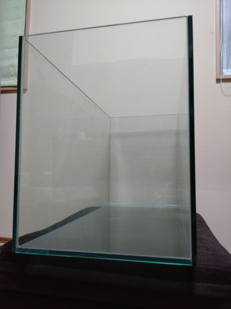 ドリー　gexグラステリア