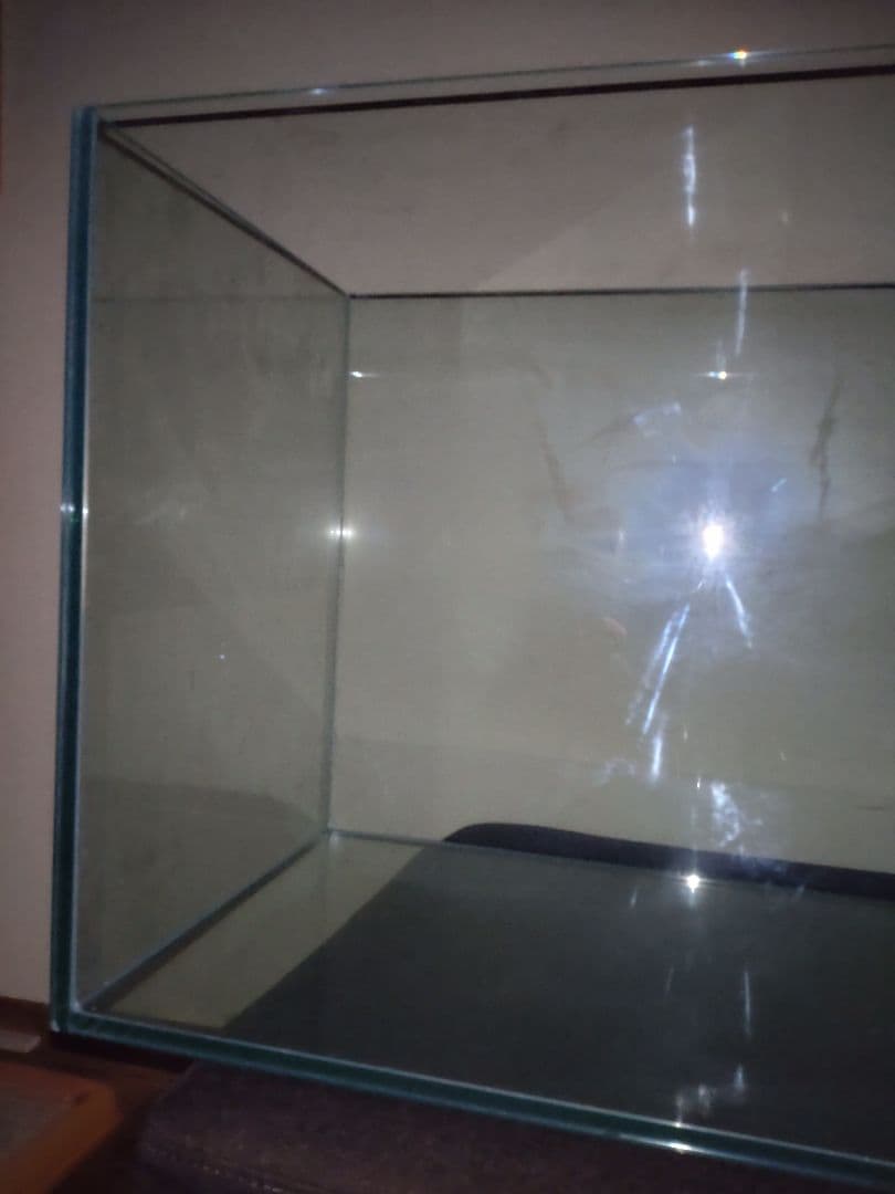 ドリー　gexグラステリア