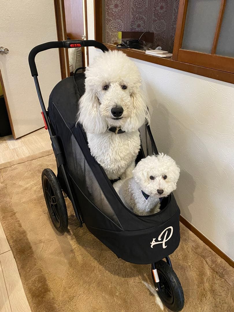 Petique ペティーク 大型犬 ペットバギー ペットジョガー