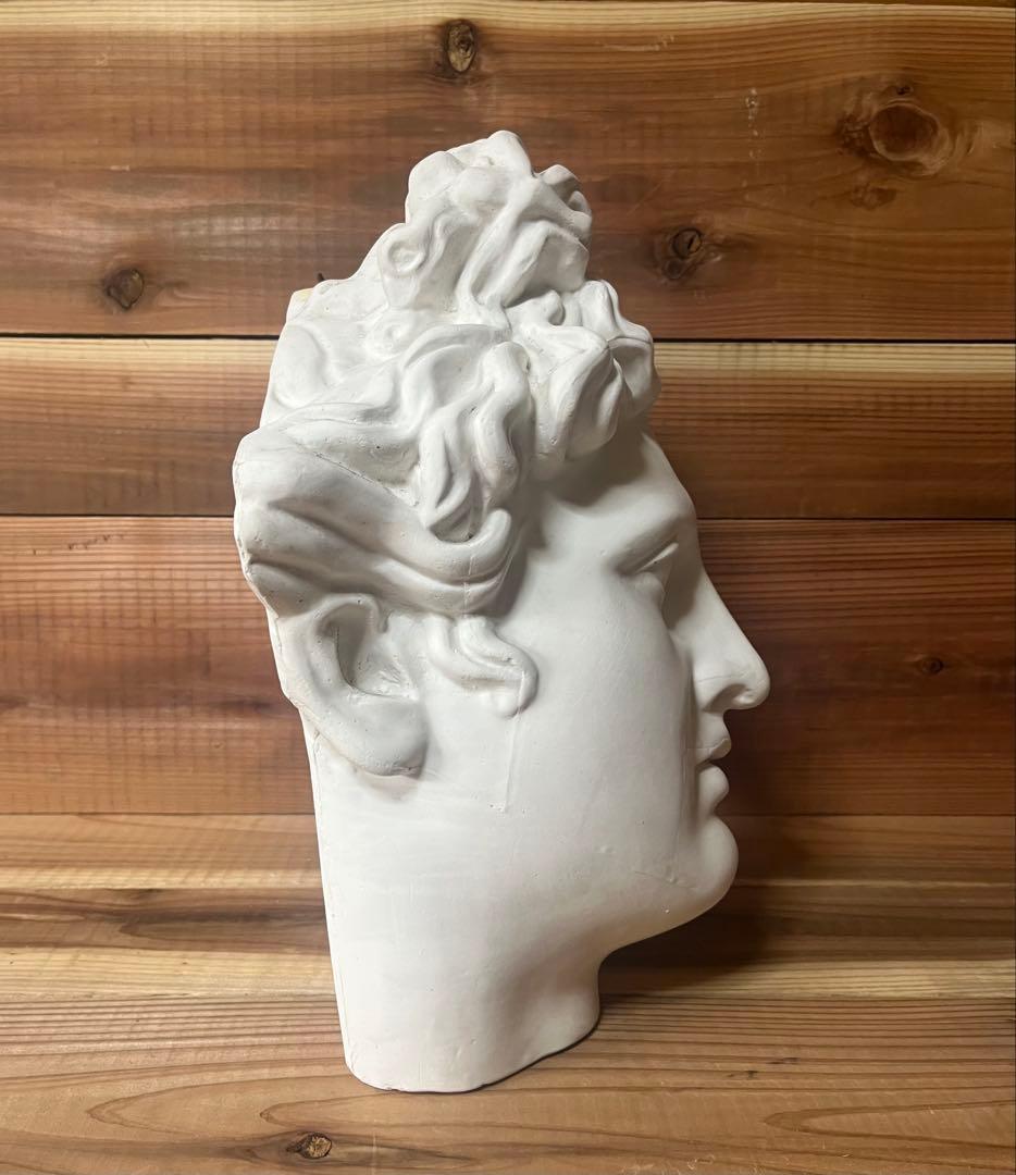 石膏像　アポロ　半面　アポロン　美術 デッサン ギリシャ神話 ヴェルヴェデーレ