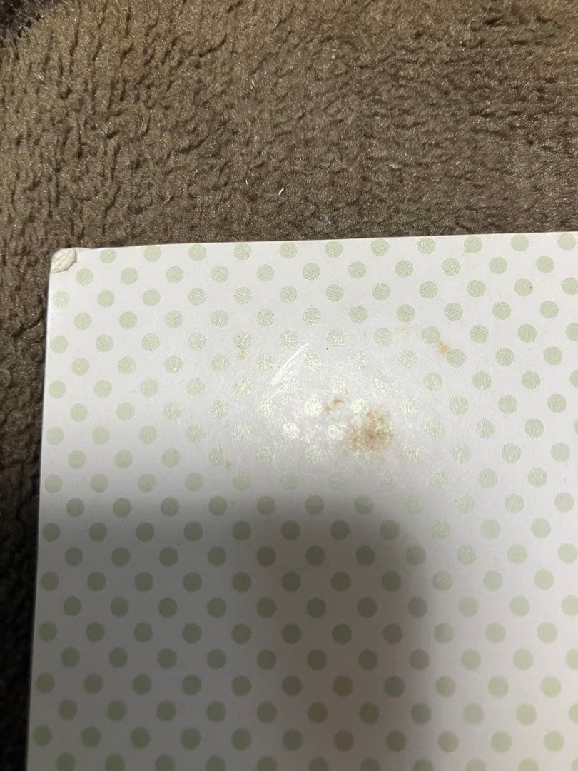 珍しい ポケモンカード なみのりピカチュウ ミュウ 旧裏 JR スタンプラリー