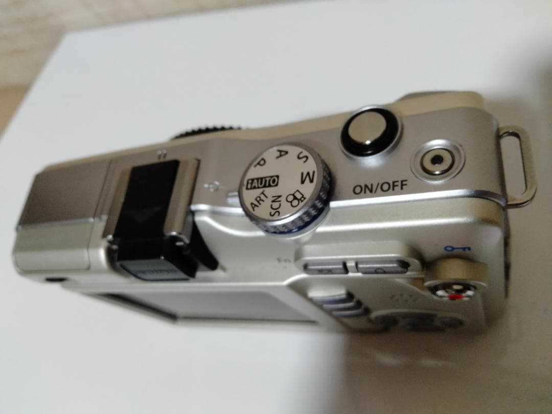 OLYMPUS E-PL1　ショット数1487