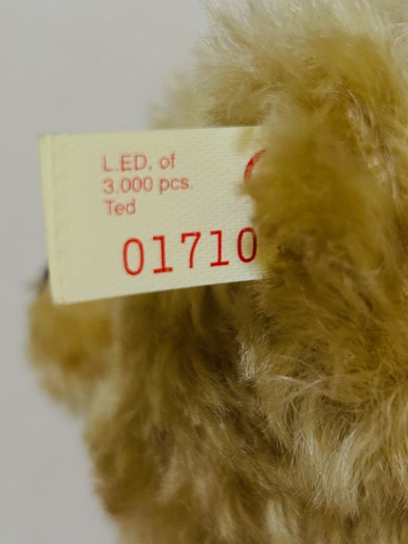 シュタイフ英国限定 Save the Children Ted テッド