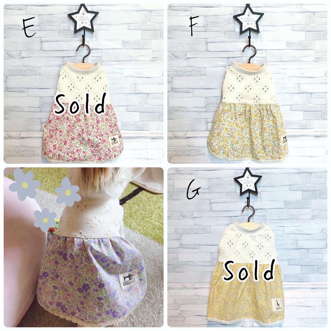 ☆犬服☆レースニットふんわりワンピースP. Sサイズ