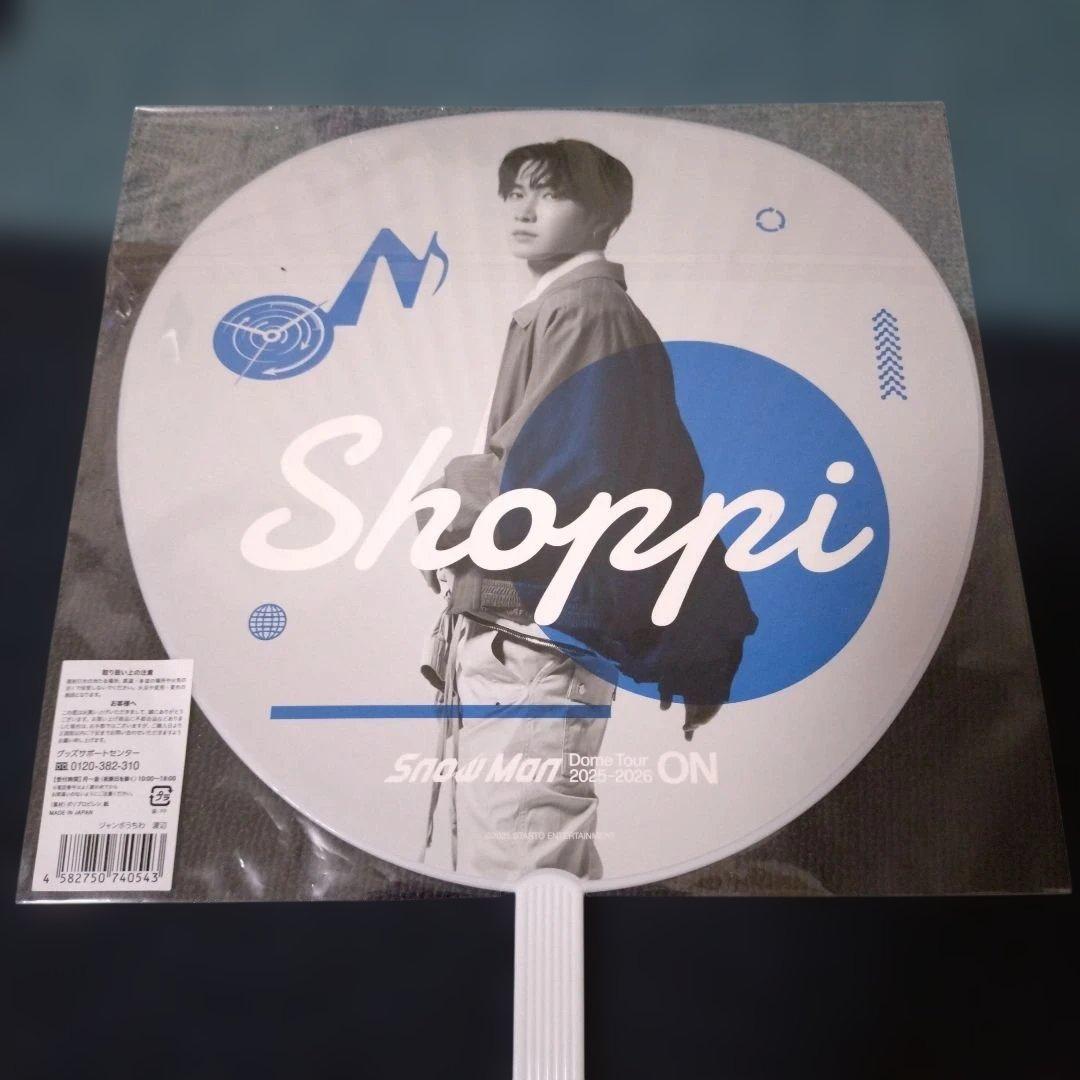 Man　DOMETOUR　2005 2026 ON ペンライト　うちわ