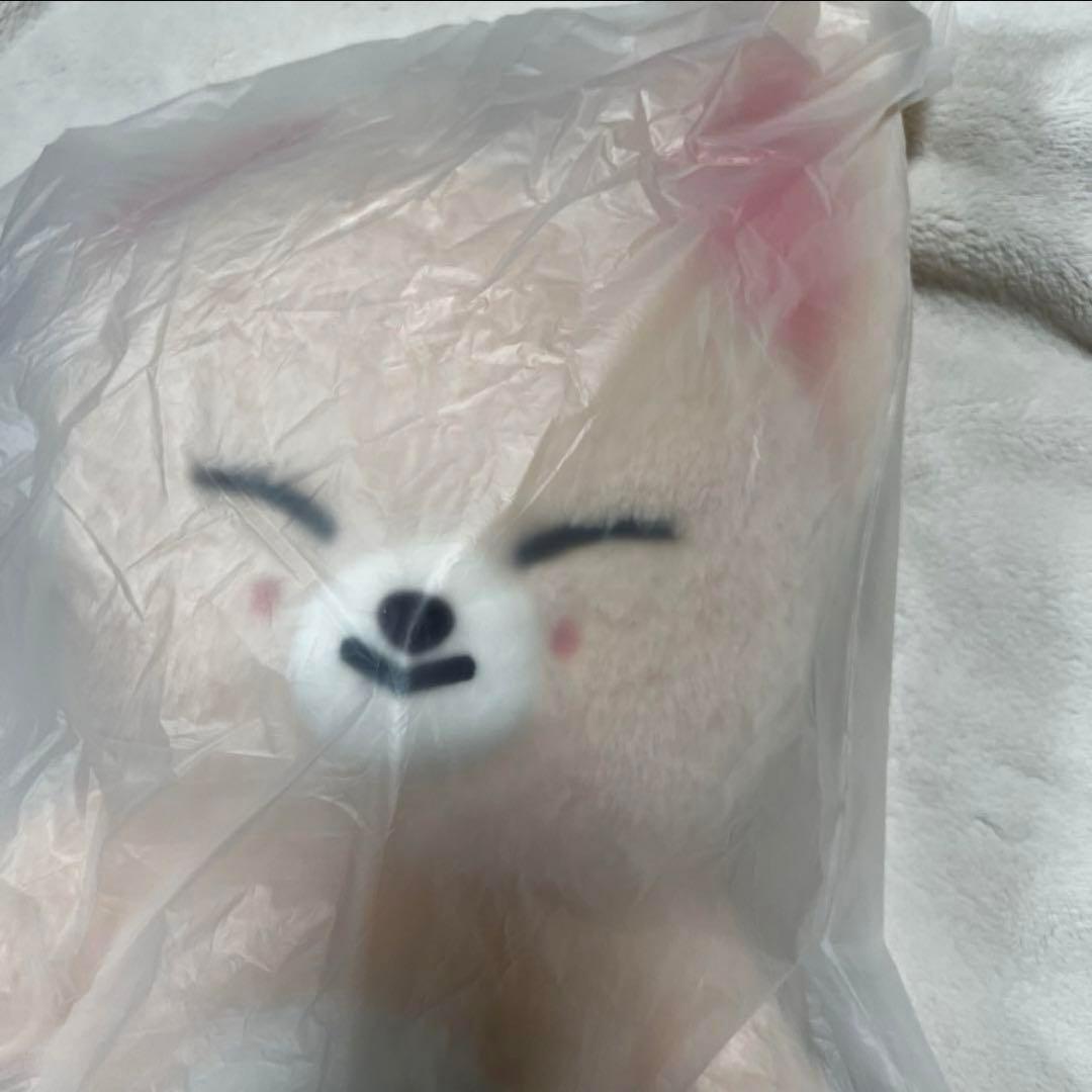 Stray Kids SKZOO テディベア FoxI.Ny