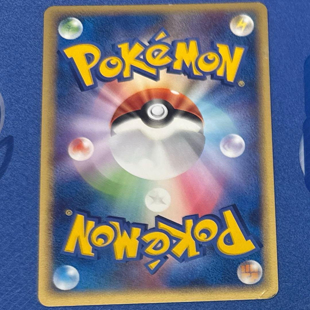 ポケモンカードゲーム ポケパーク プレミアム ファイル ブルーシート セット