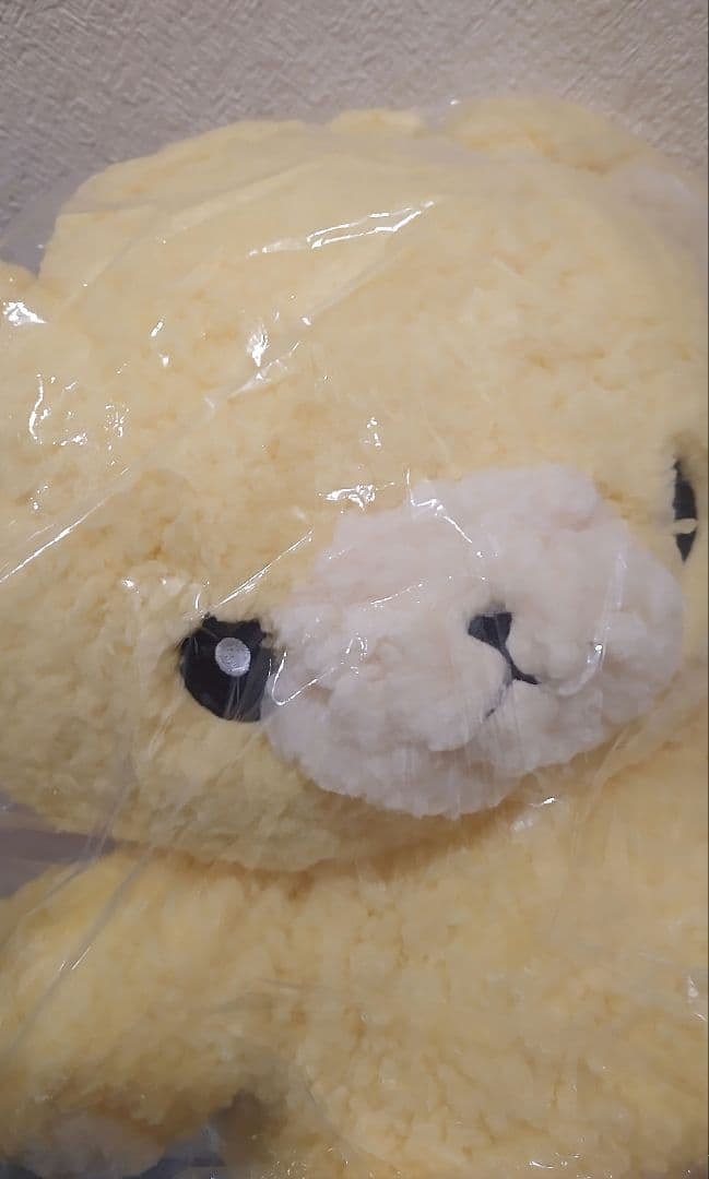 【クールドジ男子】こぐまのぬいぐるみ　一倉　二見　三間　四季　五十嵐　全5種