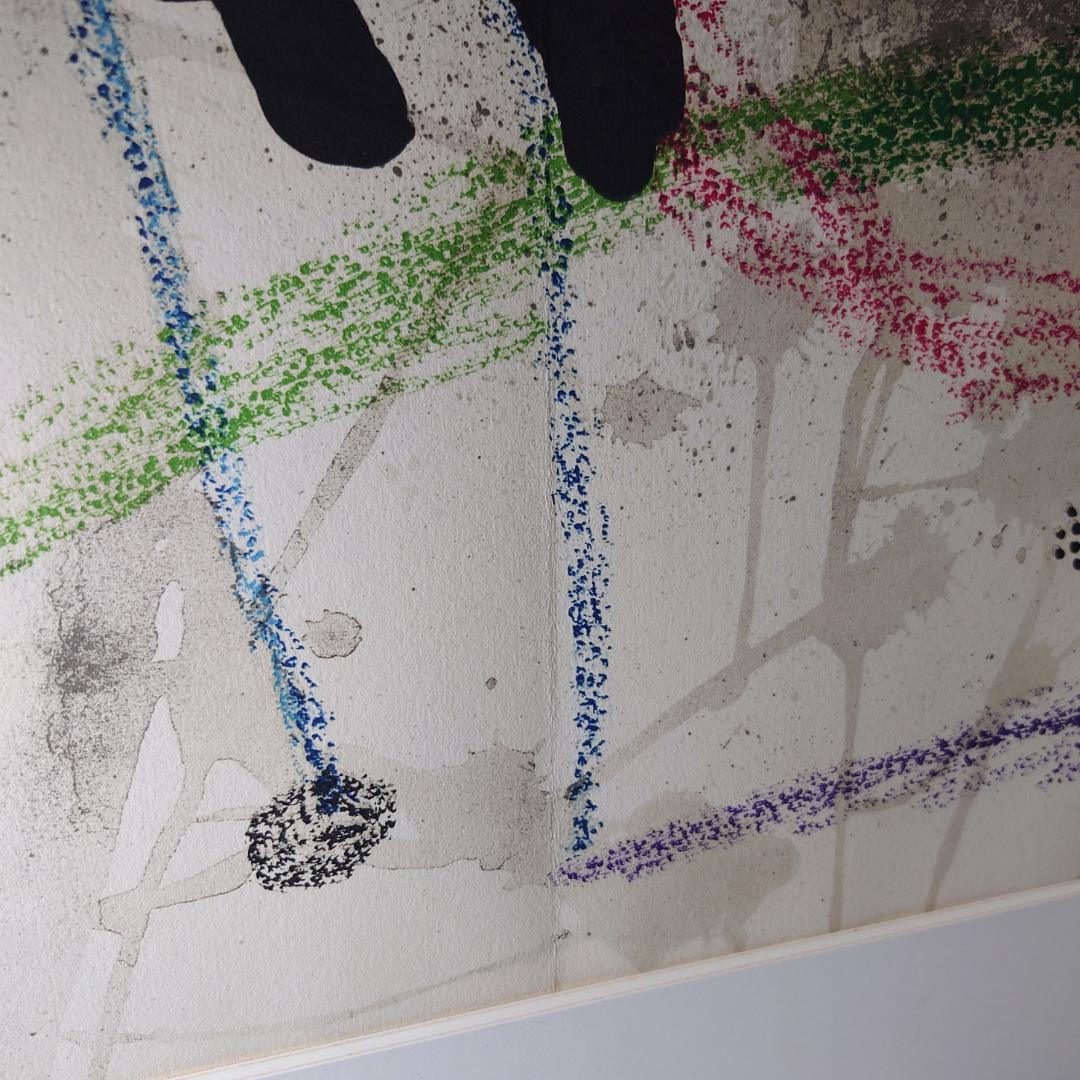 ジョアン・ミロ 「ミロの庭の様々な驚異と詩情」よりV リトグラフ