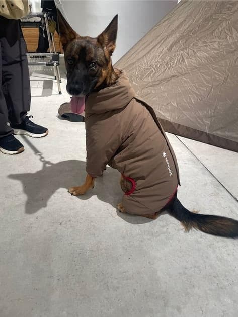 【 peak】Dog Winter Guard