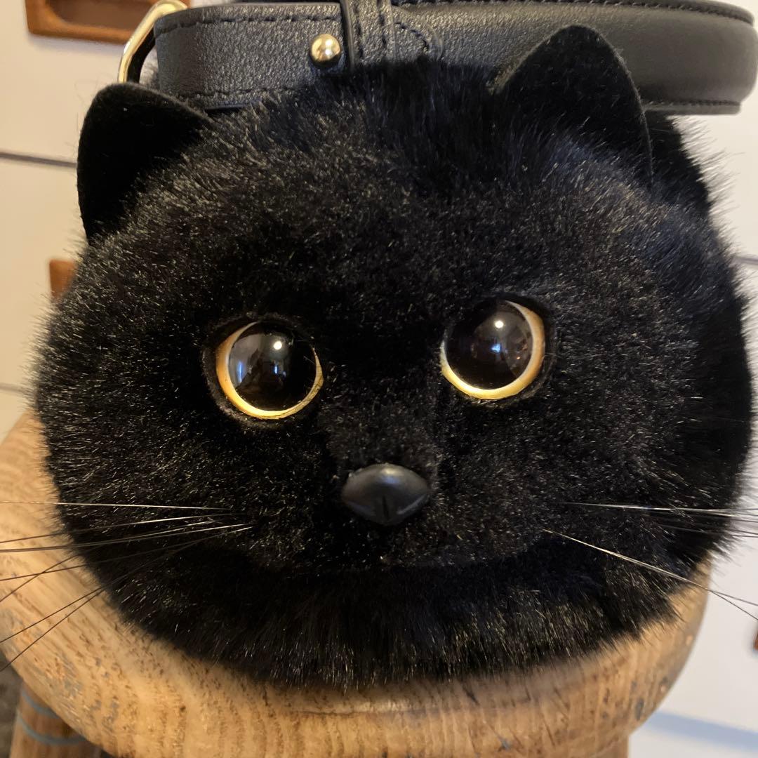 後藤専用❁⃘*.゜