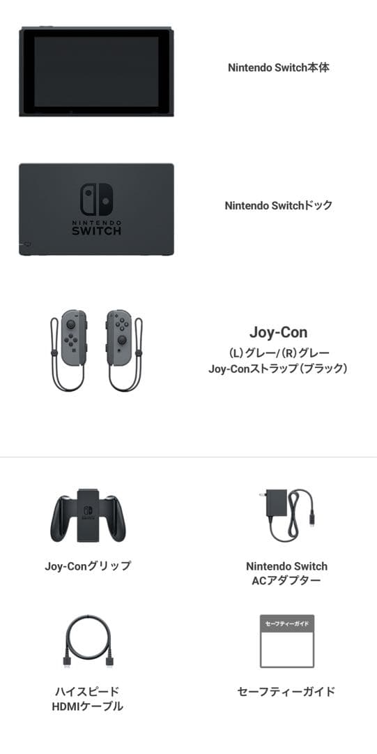 【美品】NintendoSwitchグレー キャリングケース付き