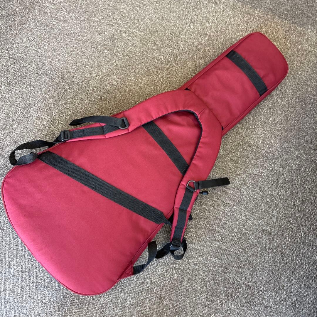 PRS SE SANTANA エレキギター　バード　ダンカン