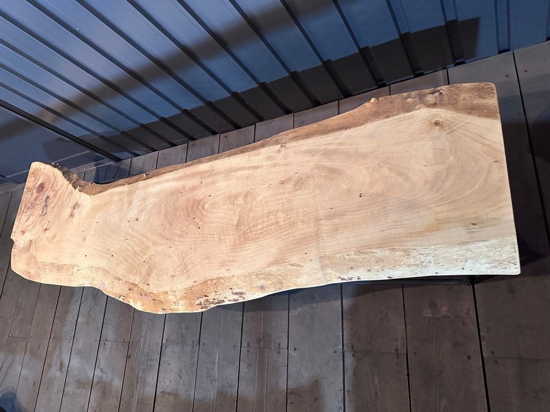 栃　トチ　一枚板テーブル　ローテーブル　ベンチディスプレイ　アイアン　民泊