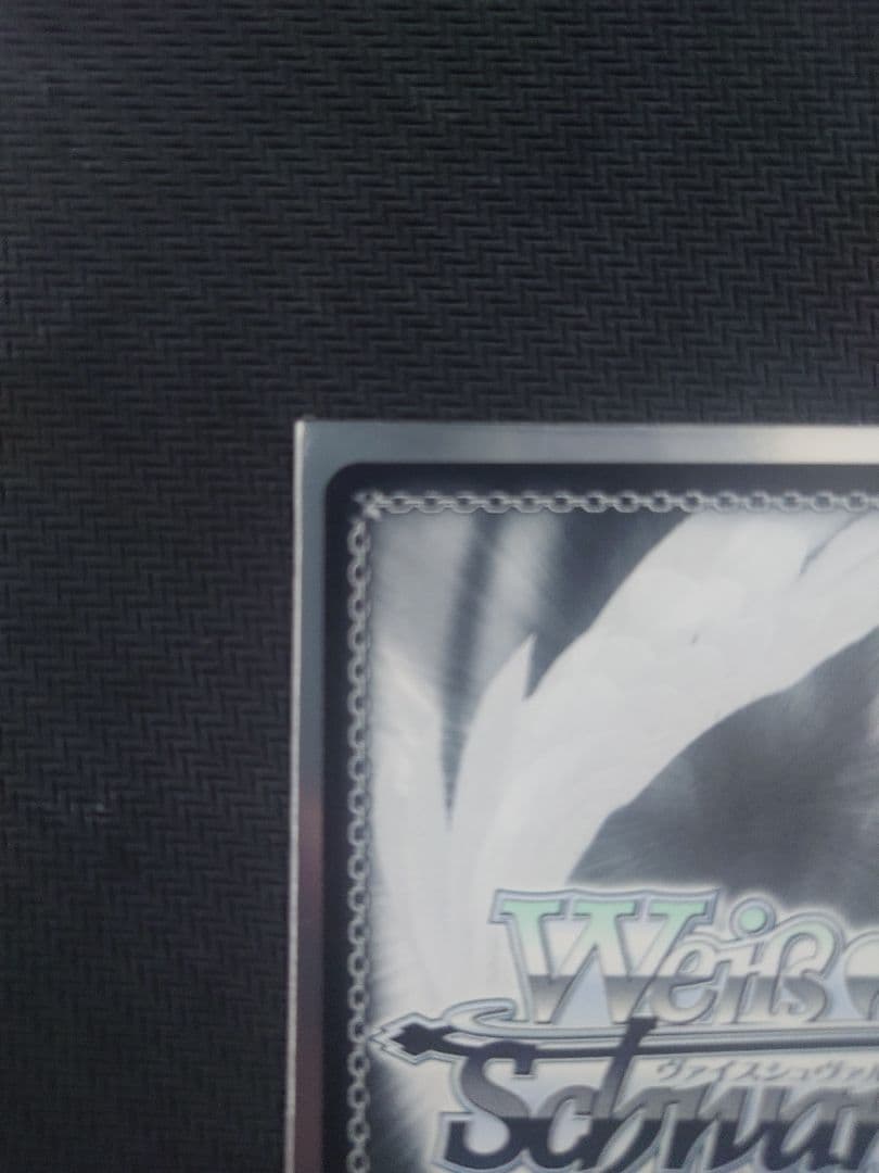 ツキノカメ　秦谷美鈴　SP