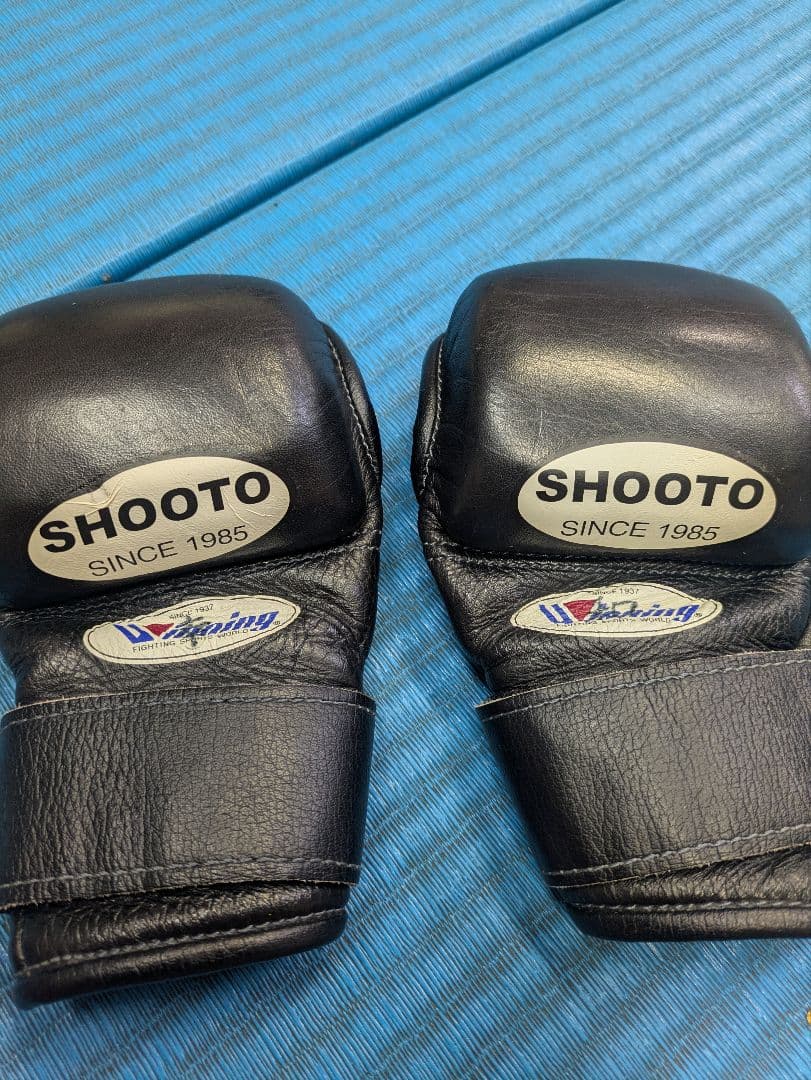 SHOOTO オープンフィンガーグローブ 黒 Winning製　Mサイズ　MMA