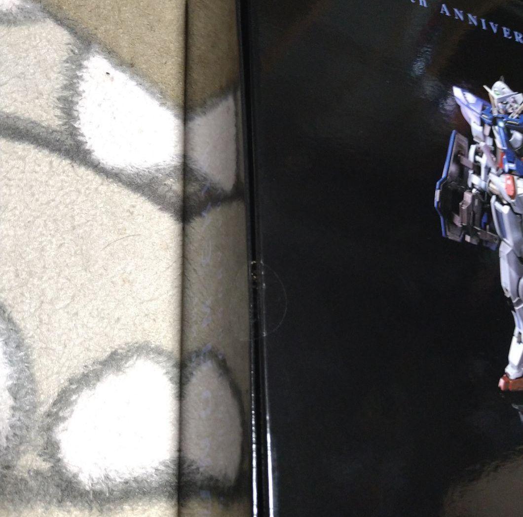 L BUILD ガンダムエクシアガンダムエクシア10周年記念メタルビルド