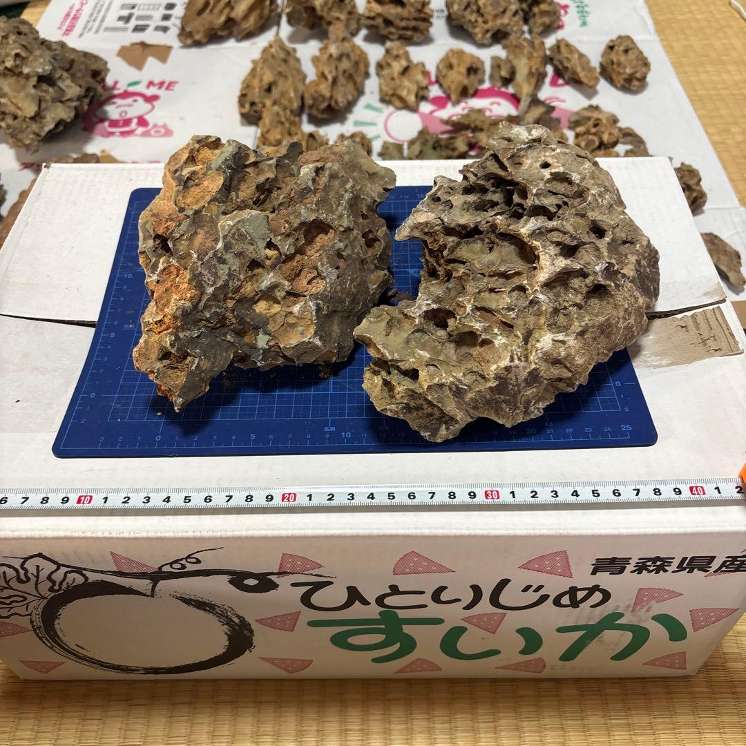 黄虎石　まとめ売り