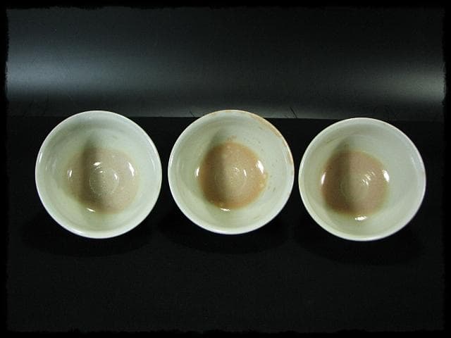 兼中斎 堀内 宗心 大綱 御本 曳舟画 数茶碗10客 土谷 瑞光 共箱 f285