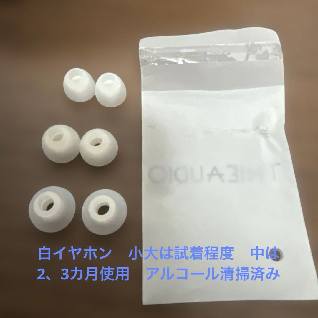 激アツアイテム　THIEAUDIO HYPE10 セーオーディオ　ハイプテン