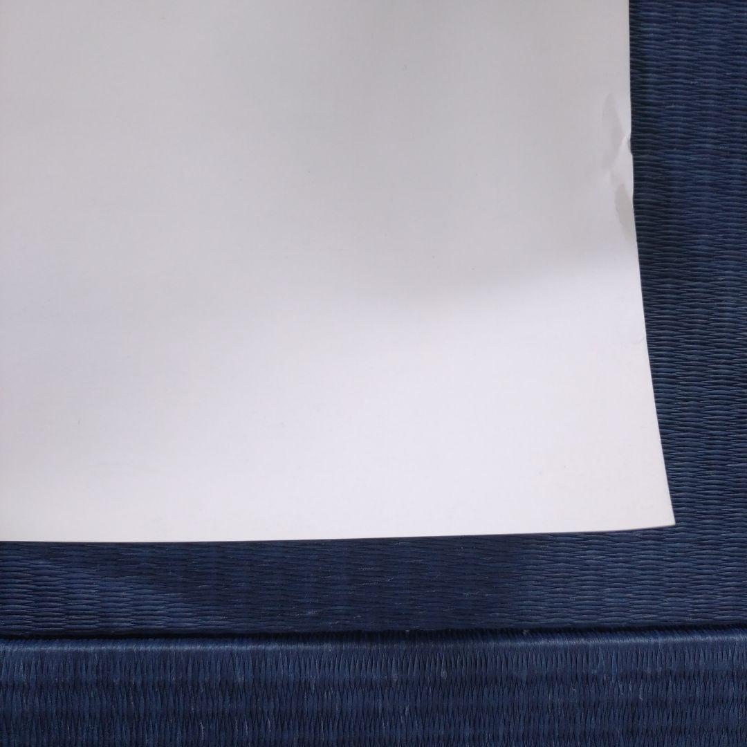 難アリ※ドラゴンボールZ(DRAGONBALL)ポスター