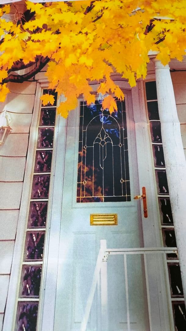 背景布　【　秋B　】　サンプル　ニューボーンフォトなどに♪