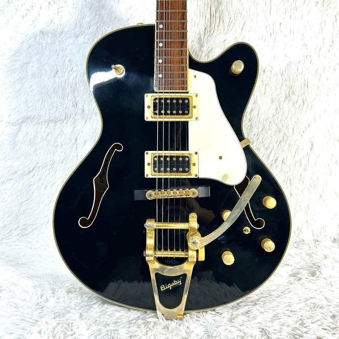 【みそかつ】Aria ProⅡ FA-800 フルアコースティック