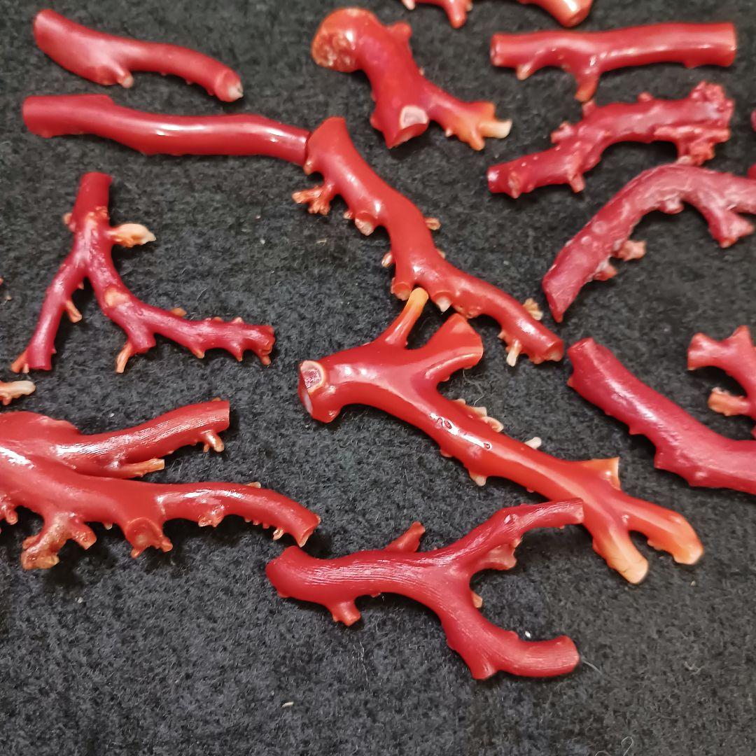 赤珊瑚 原木 枝 16点 総重量99.2g　ね