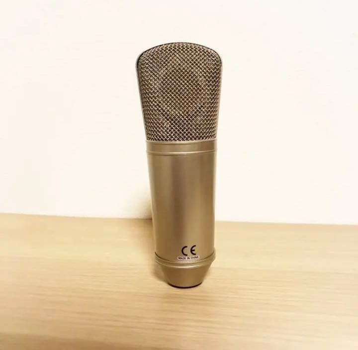 BEHRINGER B-1 コンデンサーマイク