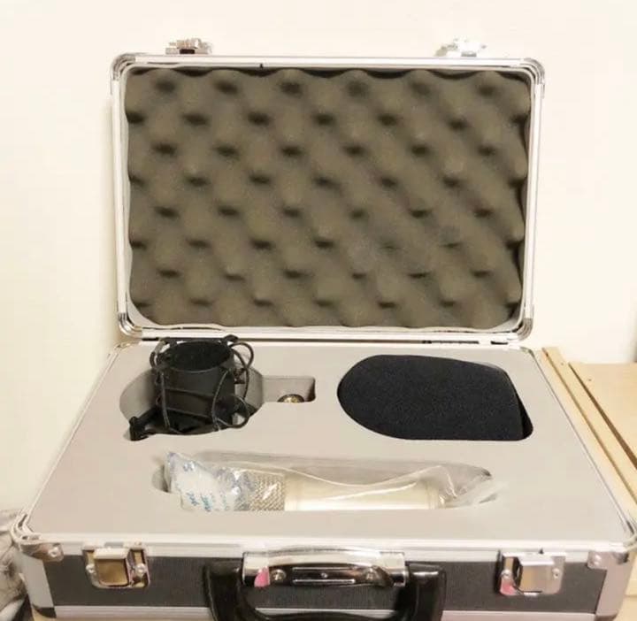 BEHRINGER B-1 コンデンサーマイク