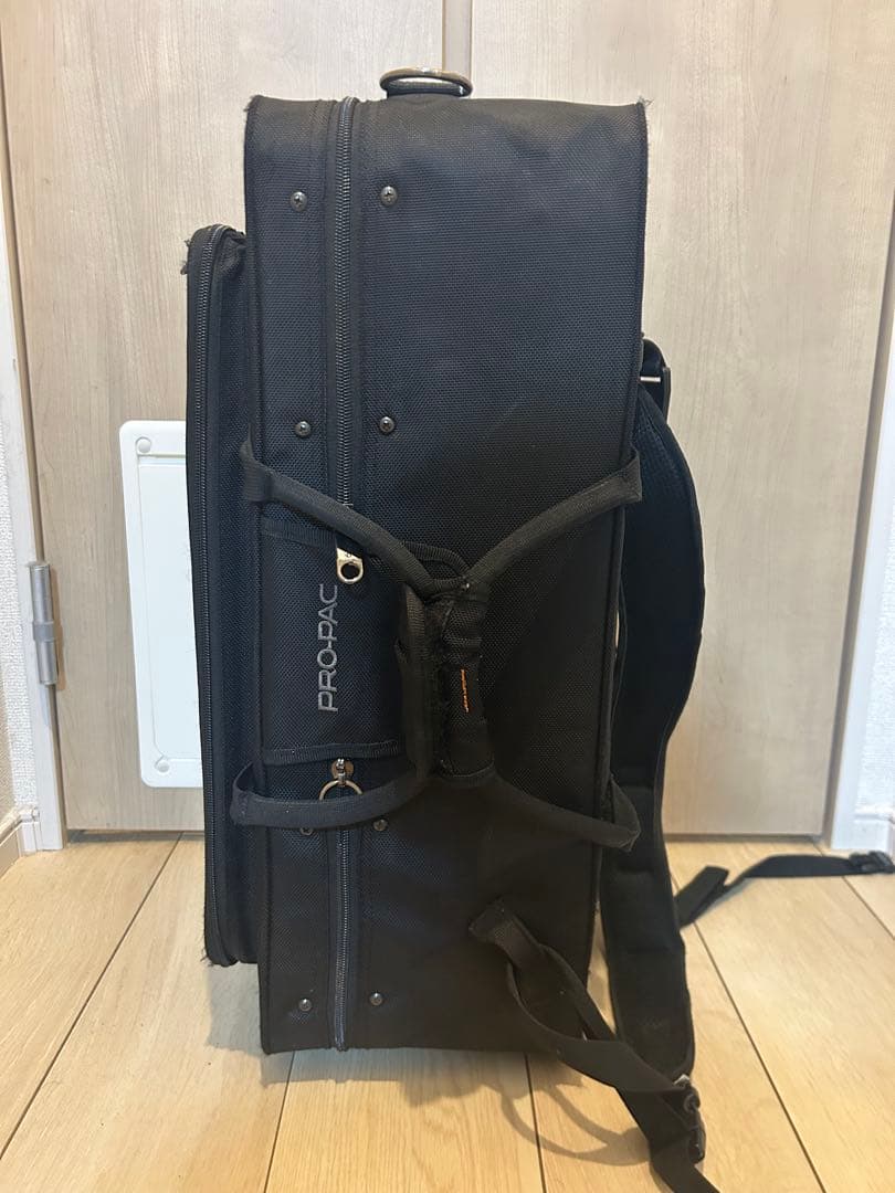 プロテック トランペットシングル＆ミュート セミハードケース PB301