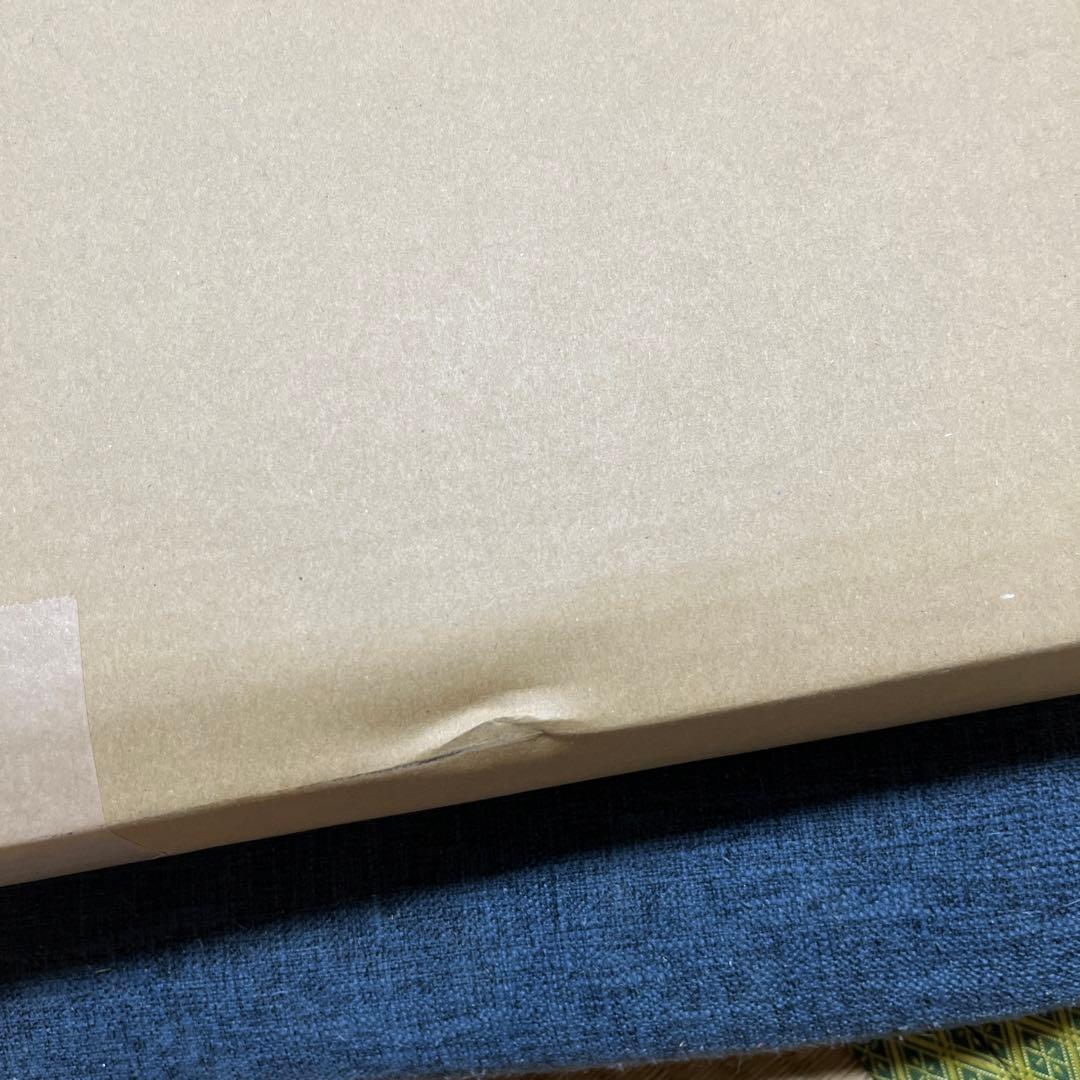 ワンピース　連載20周年記念　高級複製原画