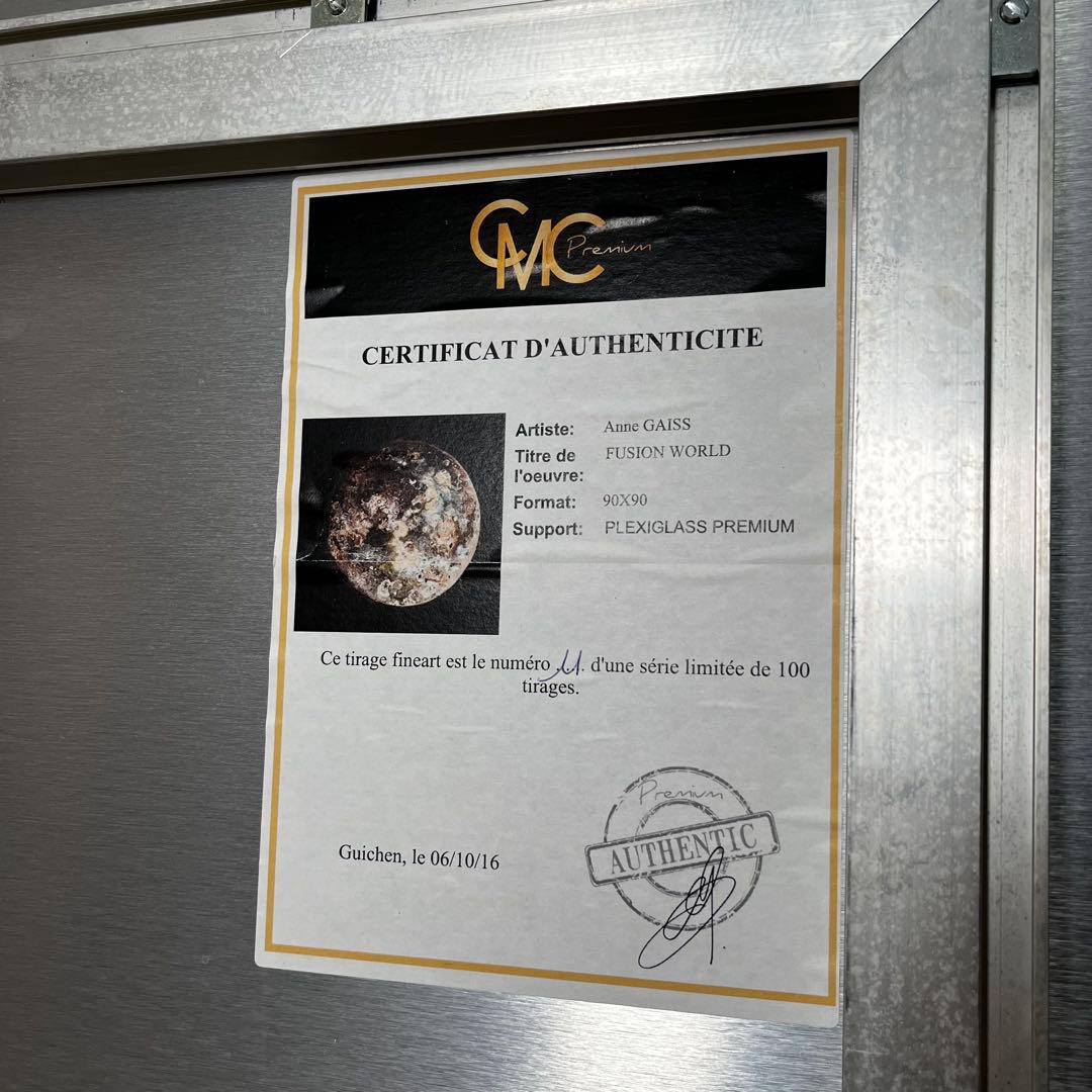 「FUSION WORLD」 Anne Gaiss 鑑定書付 アート