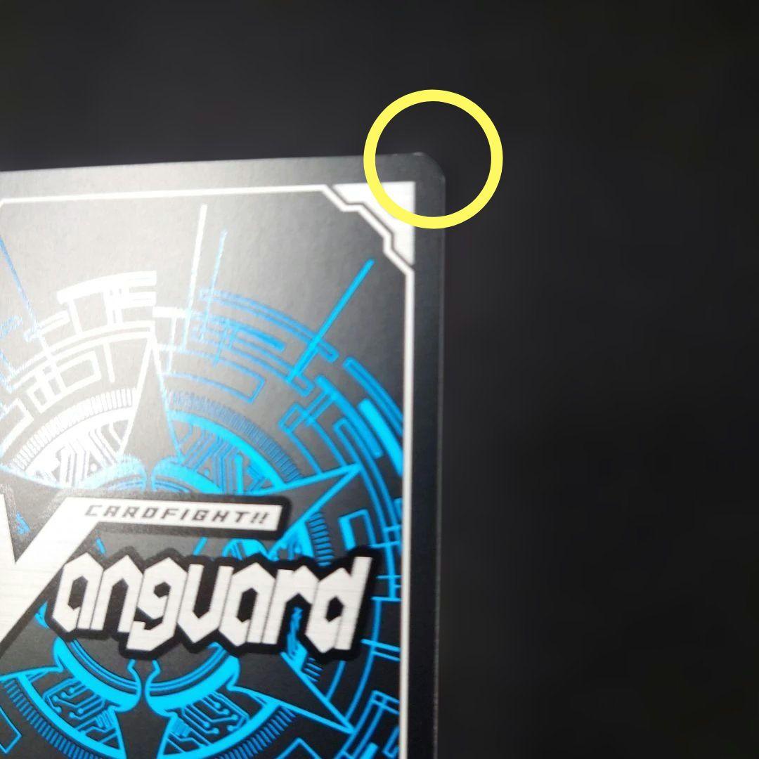 ヴァンガード スノウスキップ パルヴィ TGR+ DZ-LBT02