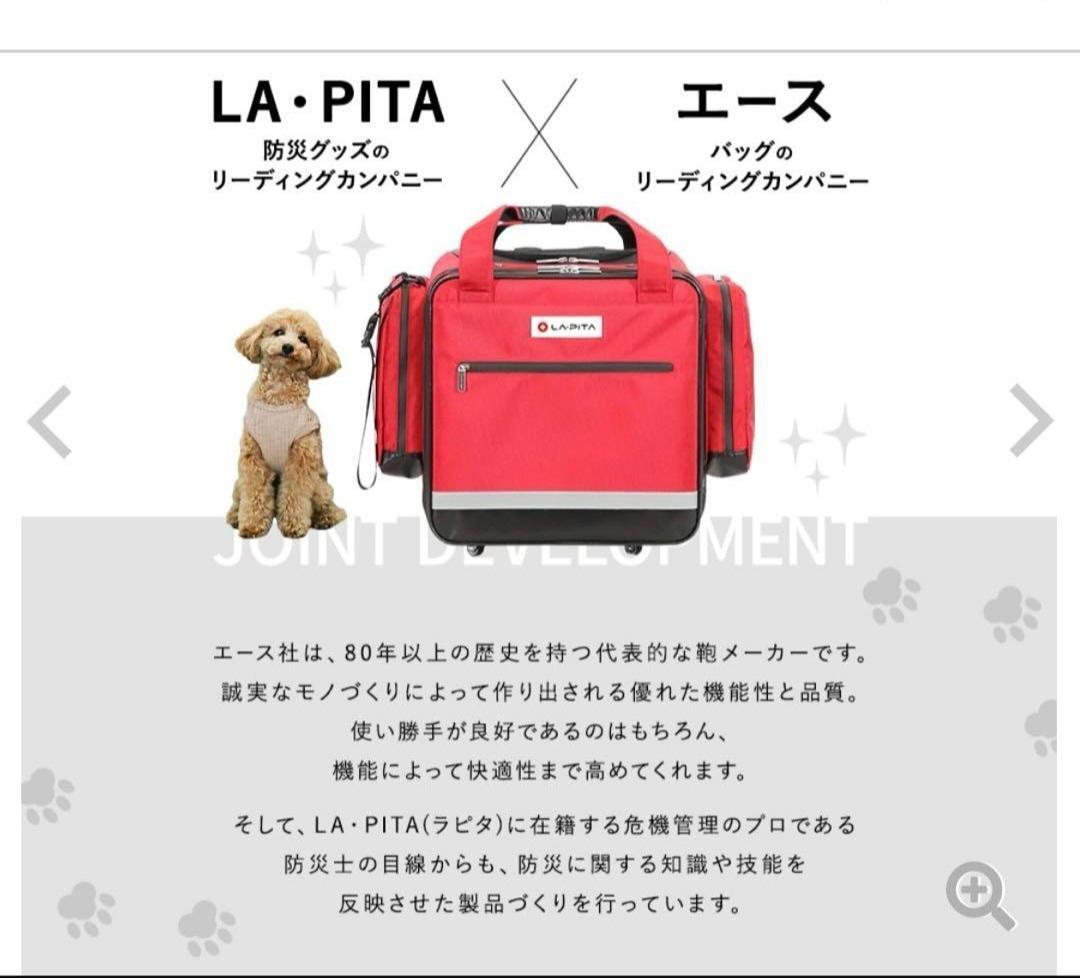 LA・PITA キューブRoom ペットキャリーリュック ケージ