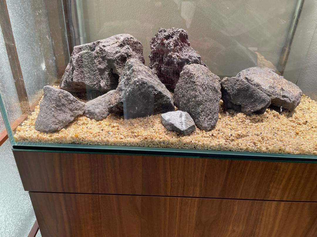 ADA 山水石　苔石