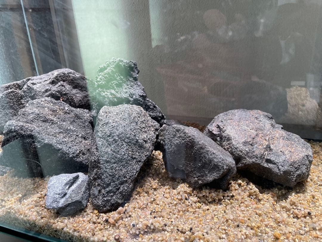 ADA 山水石　苔石