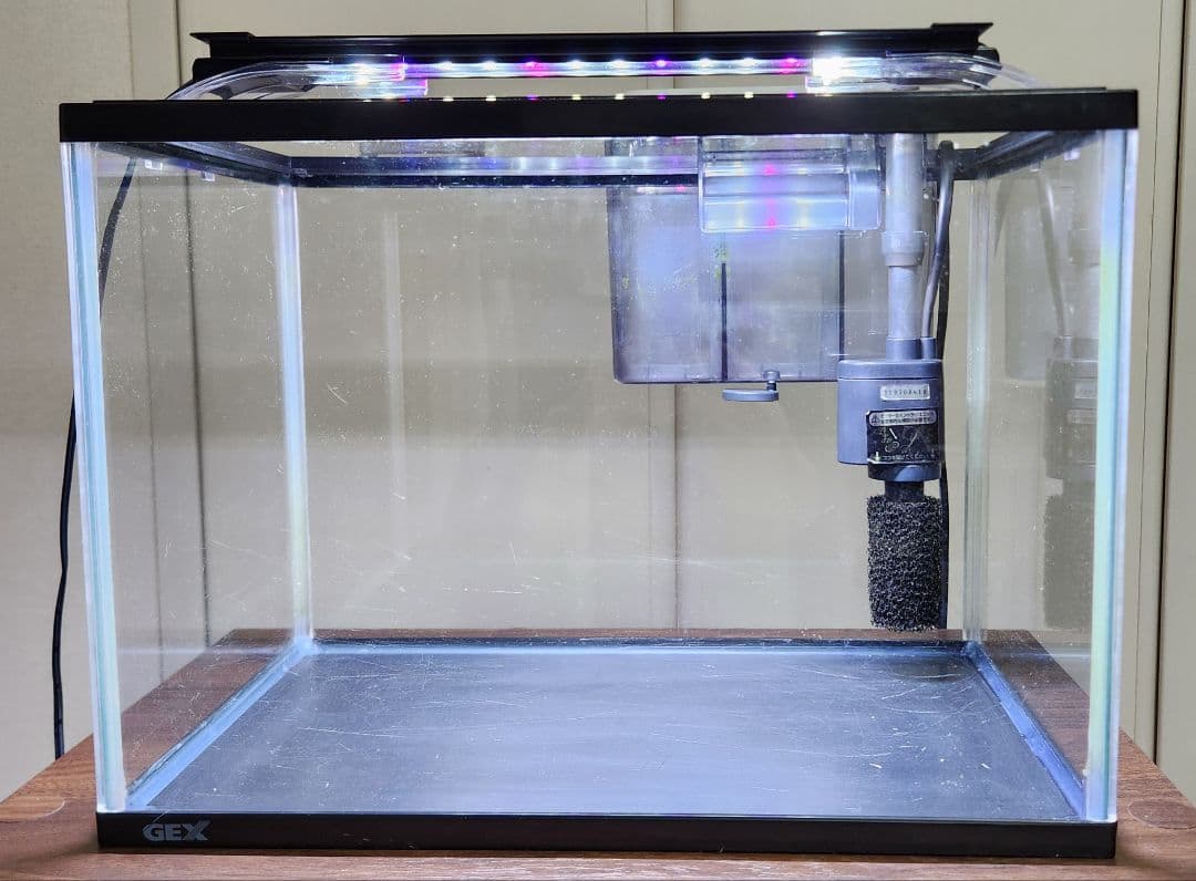 水槽セット 35センチ バラ売り可 福岡引取限定