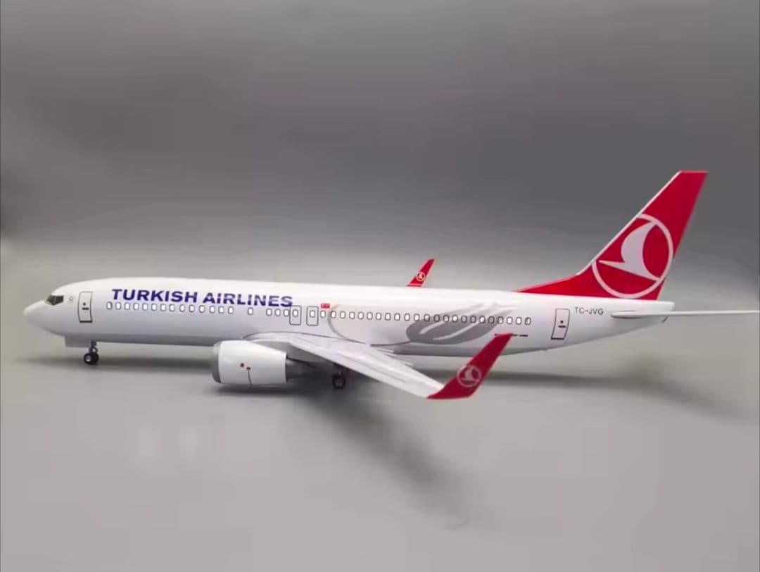 トルコ航空 Turkish Airlines ボーイング B737 MAX 8