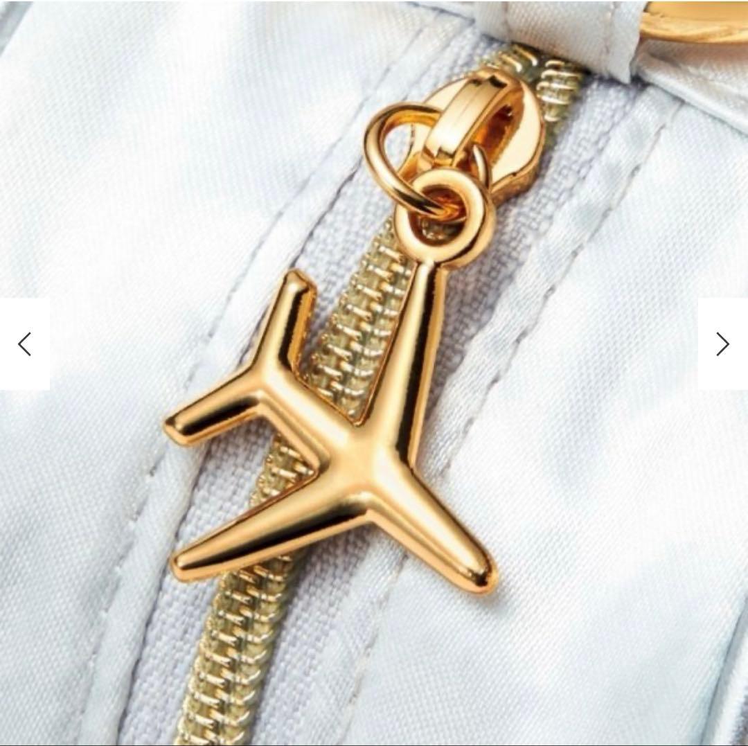 【新品】JALオリジナル　近沢レース　トラベル衣類ケース