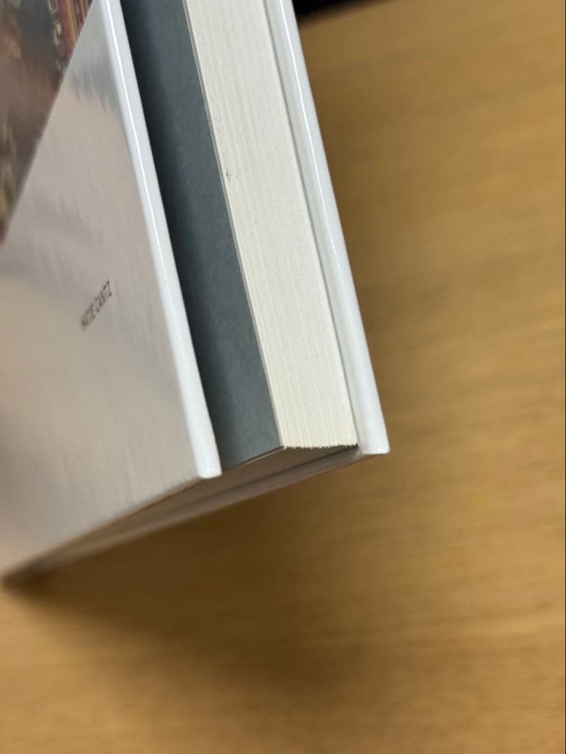 NAOYA HATAKEYAMA | 畠山直哉 | HATJE CANTZ