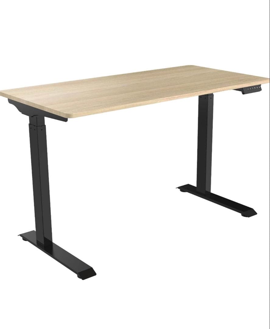 FLEXISPOT 電動式昇降デスク E9