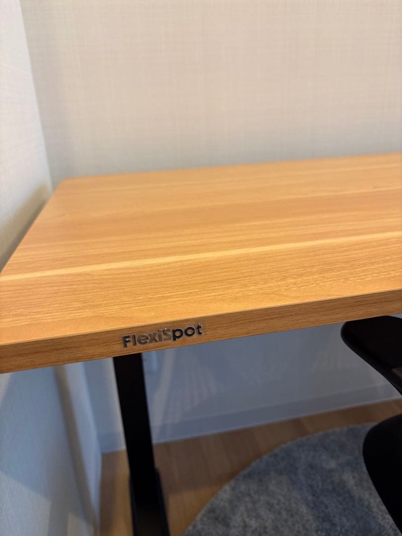 FLEXISPOT 電動式昇降デスク E9
