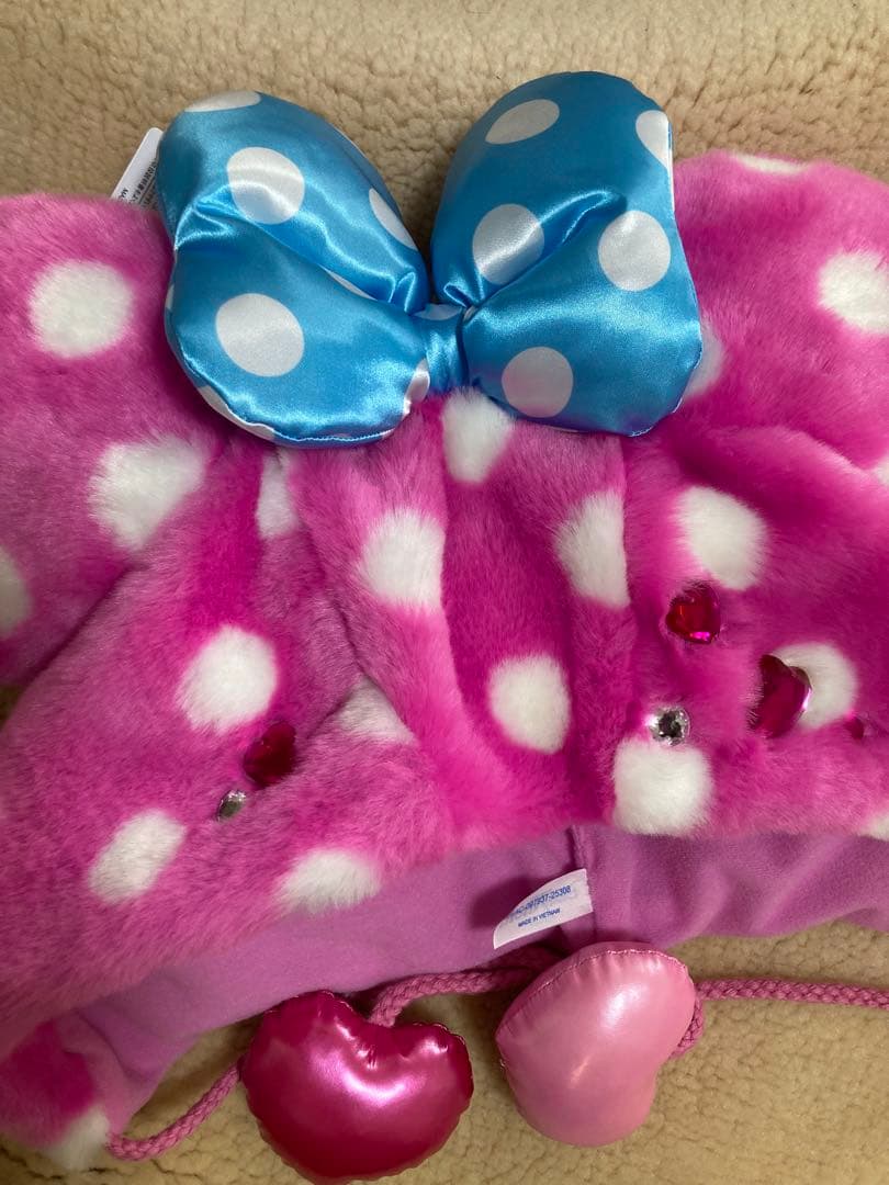 【新品❣️】ファンキャップ ディズニー・パルパルーザ ミニーのファンダーランド２点